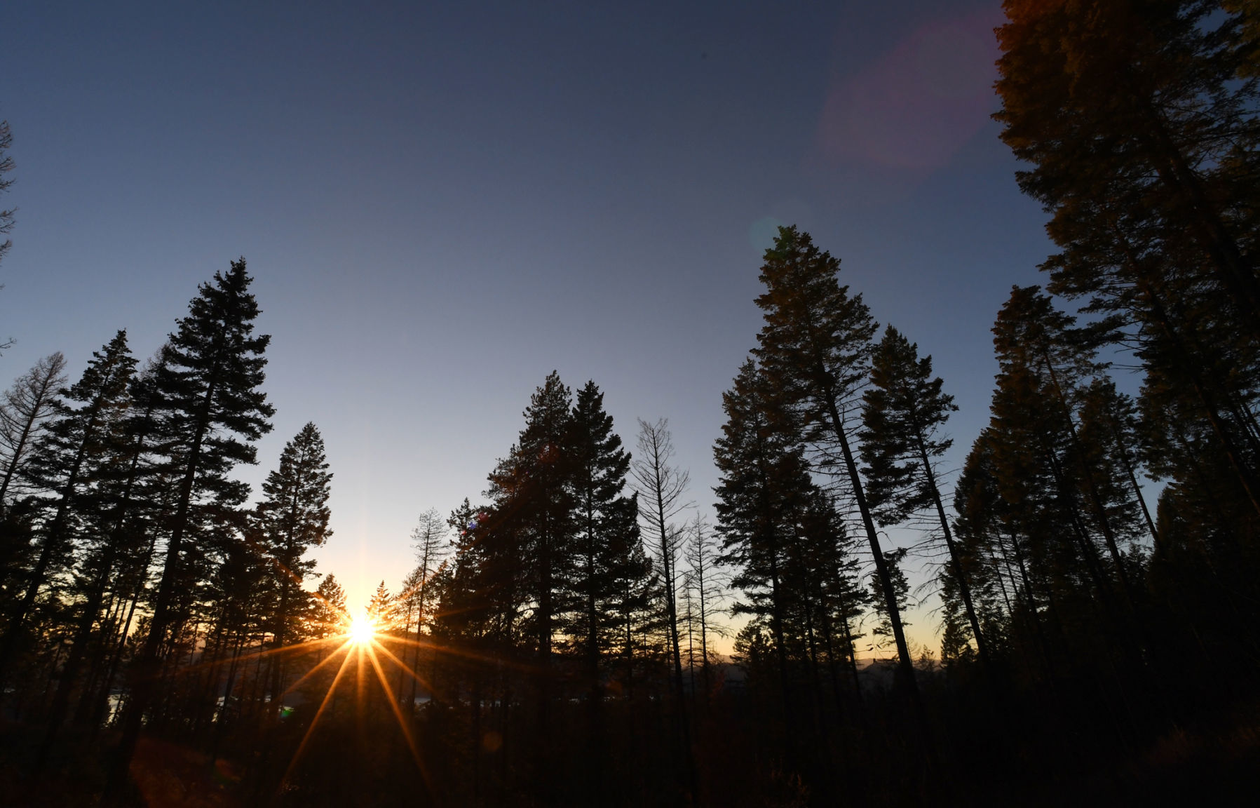 The Stillwater State Forest north of Whitefish